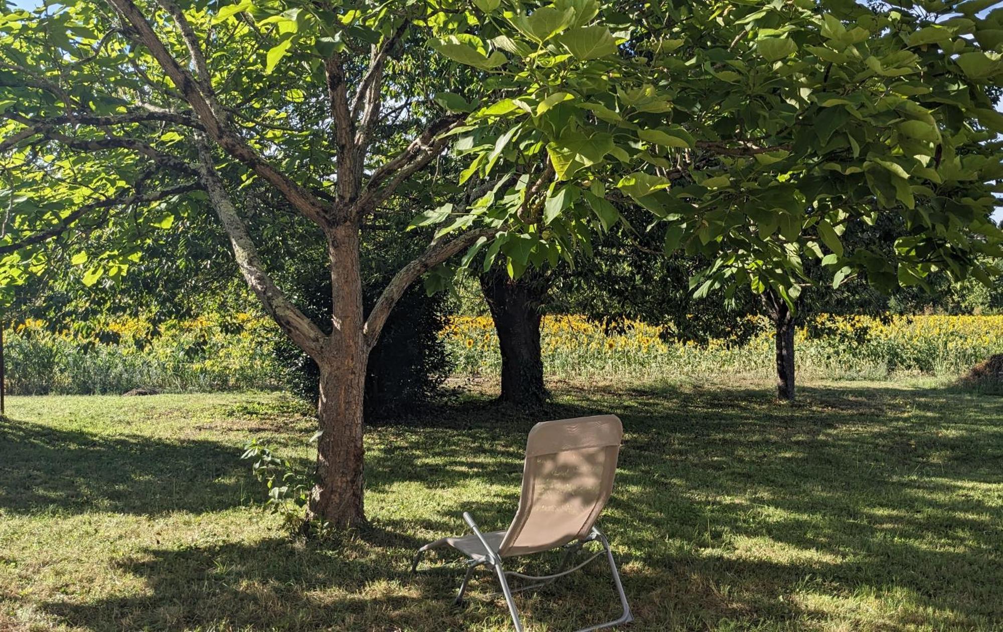 Maison Au Calme En Dordogne Trémolat Kültér fotó